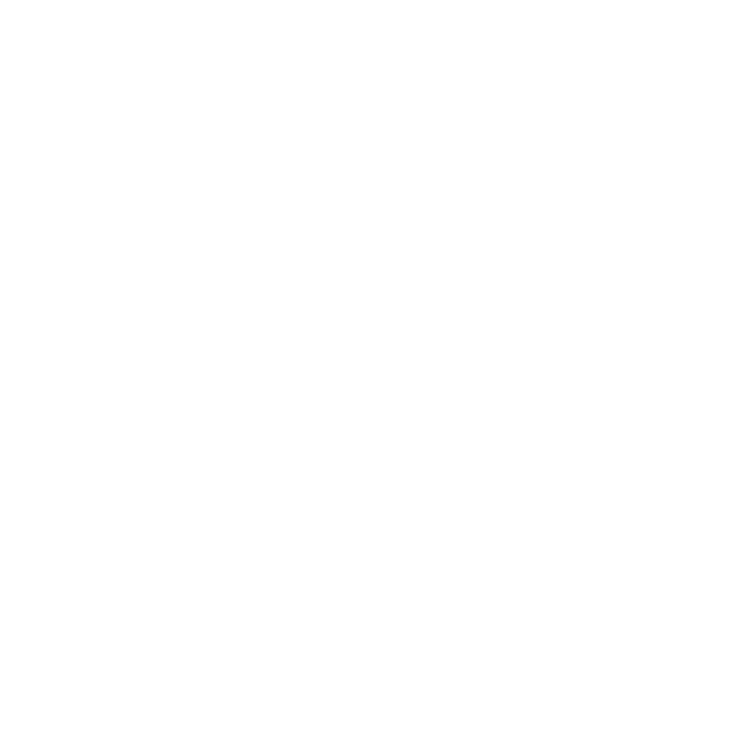 Guidance Icon