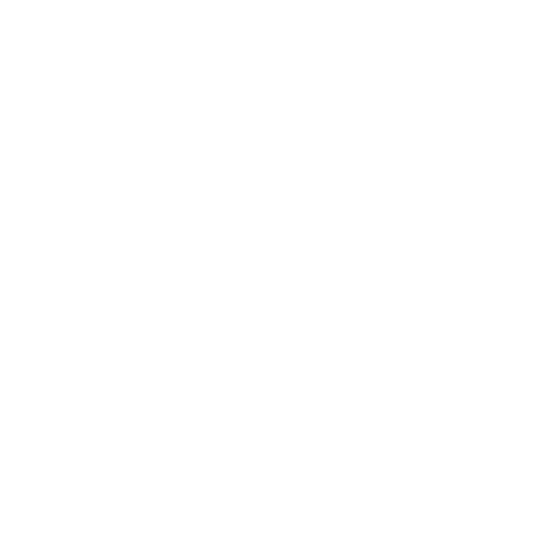 Consultation Icon