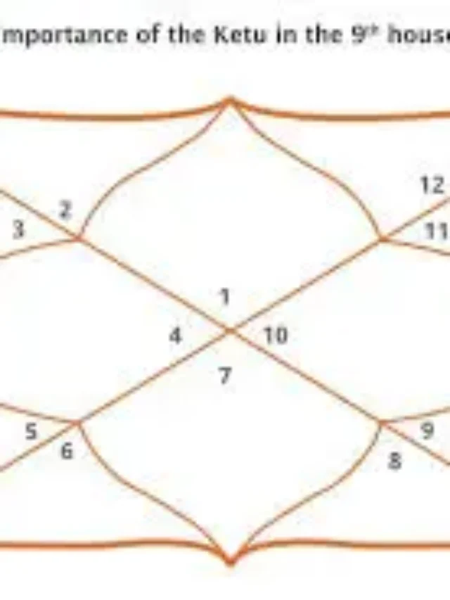 Effects Of Ketu In Different Houses In Astrology